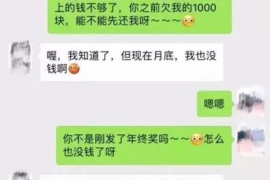 辛集辛集专业催债公司的催债流程和方法